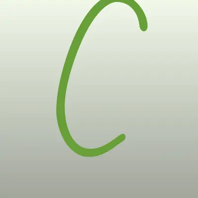 Черномор Авто Tenet