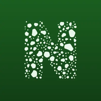 Наши Краски